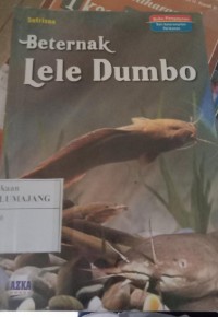 Image of Beternak Lele Dumbo